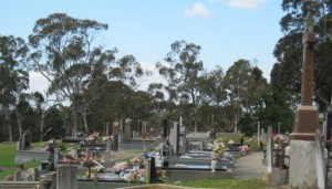 lloyd cemetery